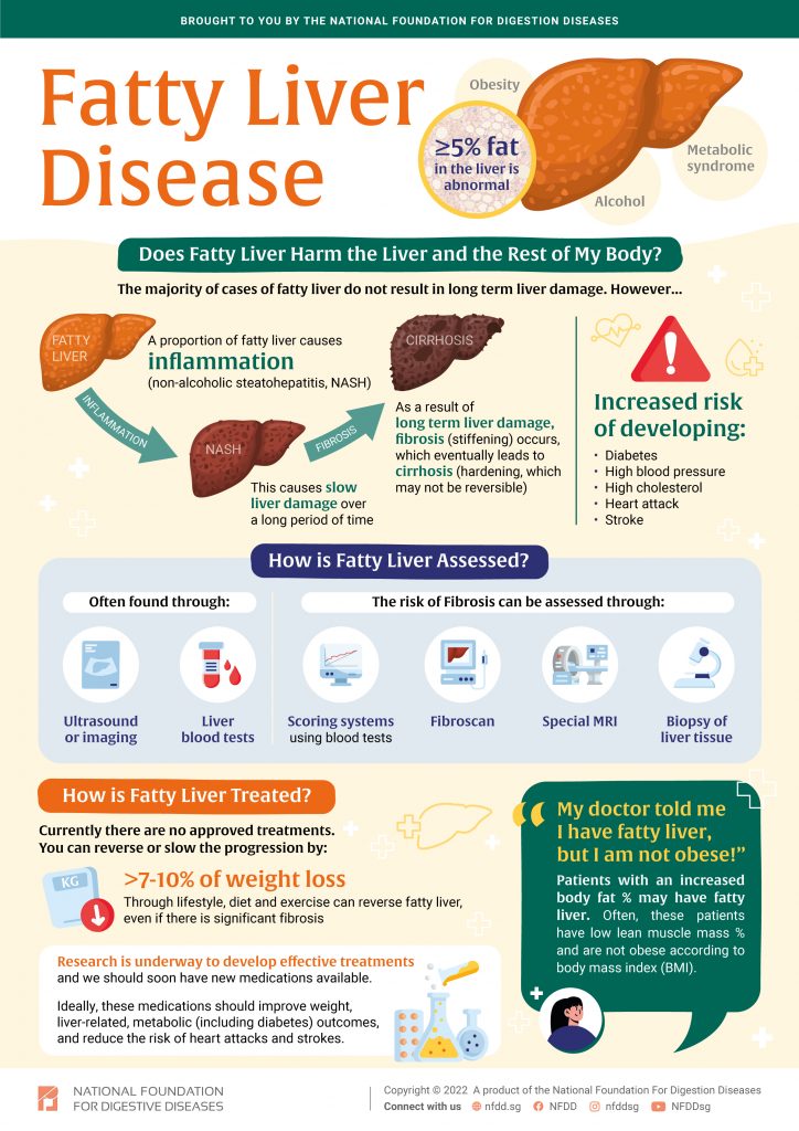 Infographic on Fatty Liver Diseases